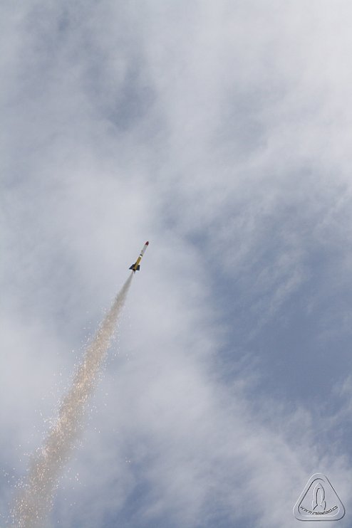 2013 Svojek Mirek Topinka